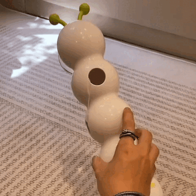 Bruco interattivo per gatti