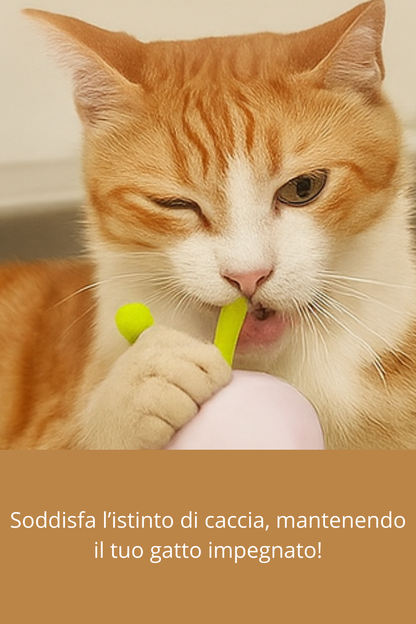 Bruco interattivo per gatti